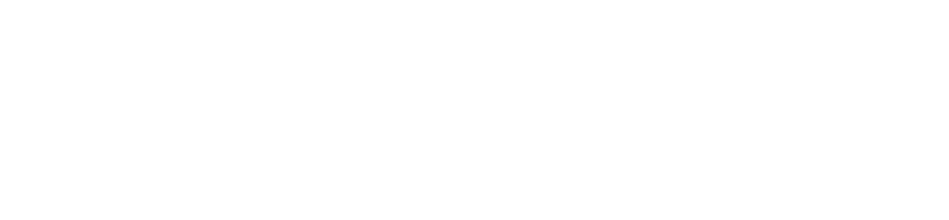 Flydeskpro